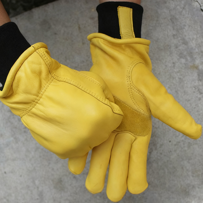 Mens Motorcycle Winter Gloves  - đánh giá và giá Winter Glove Insulated